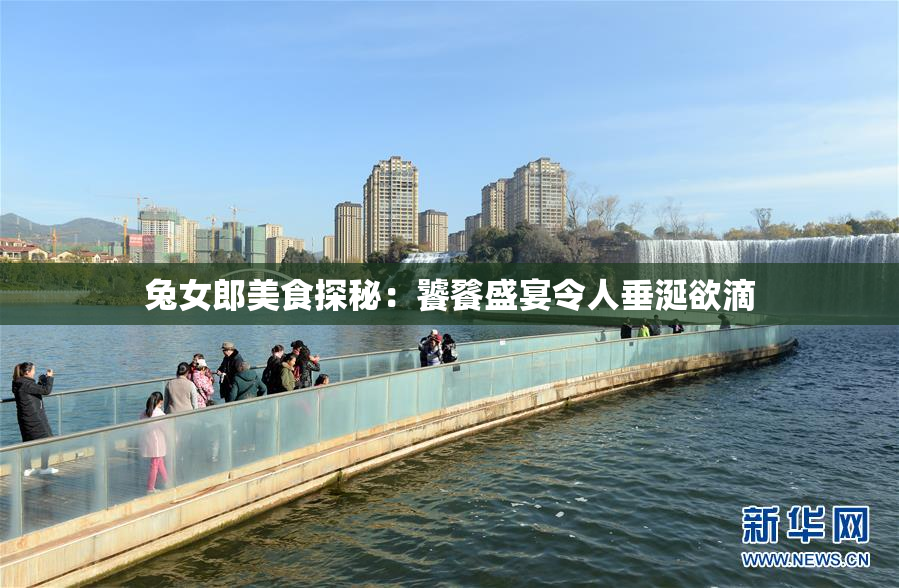 兔女郎美食探秘：饕餮盛宴令人垂涎欲滴