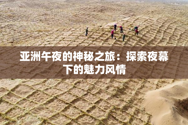 亚洲午夜的神秘之旅：探索夜幕下的魅力风情
