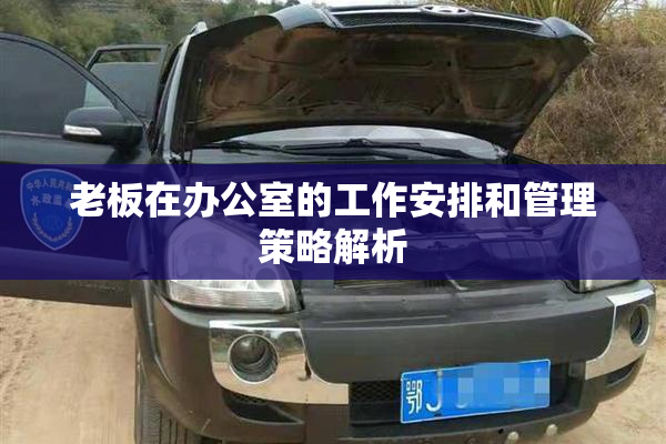 老板在办公室的工作安排和管理策略解析