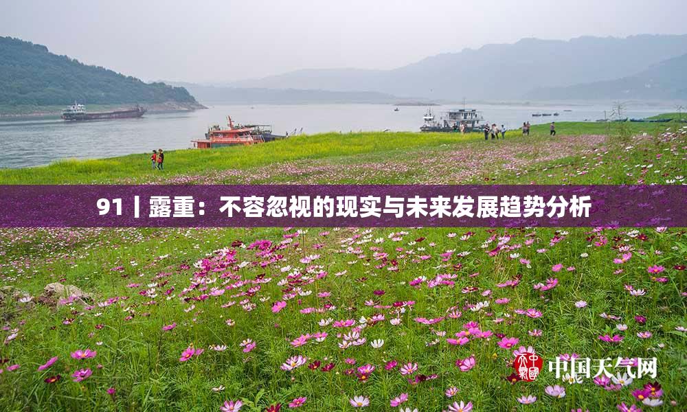 91丨露重：不容忽视的现实与未来发展趋势分析