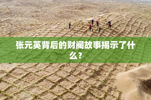 张元英背后的财阀故事揭示了什么？
