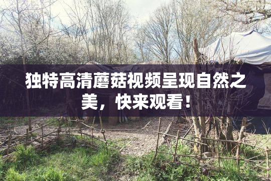 独特高清蘑菇视频呈现自然之美，快来观看！