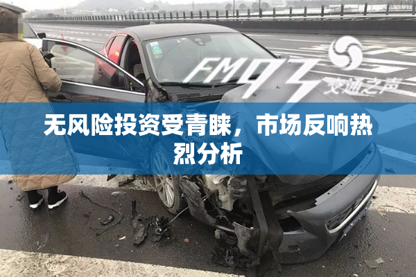 无风险投资受青睐，市场反响热烈分析