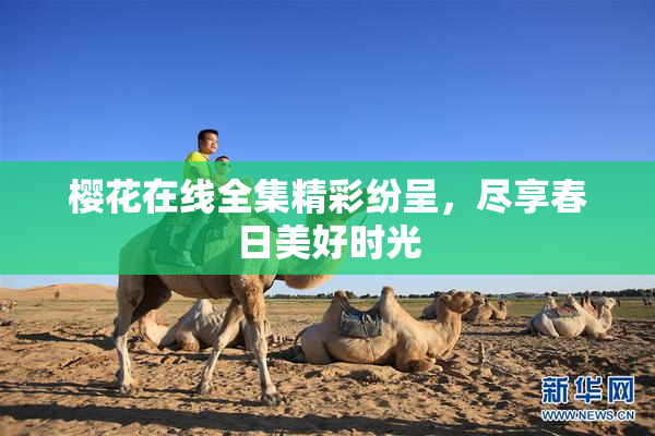 樱花在线全集精彩纷呈，尽享春日美好时光
