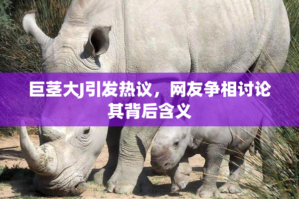 巨茎大J引发热议，网友争相讨论其背后含义