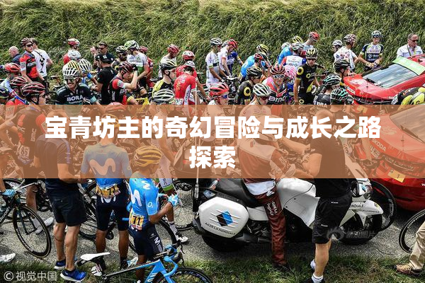 宝青坊主的奇幻冒险与成长之路探索