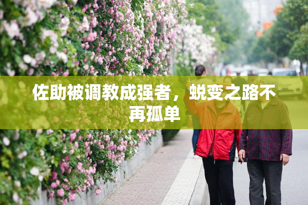 佐助被调教成强者，蜕变之路不再孤单