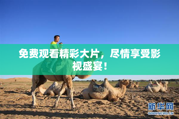 免费观看精彩大片，尽情享受影视盛宴！