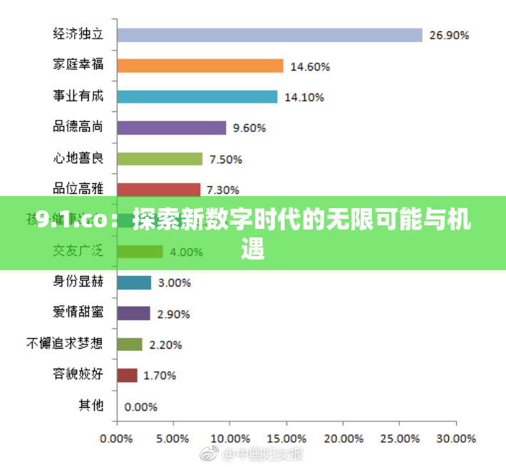 9.1.co：探索新数字时代的无限可能与机遇