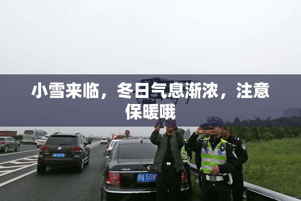小雪来临，冬日气息渐浓，注意保暖哦