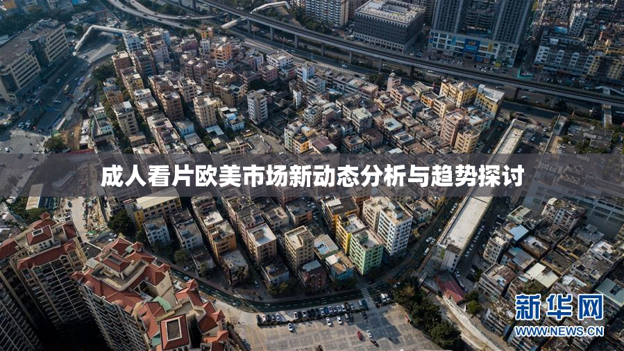 成人看片欧美市场新动态分析与趋势探讨