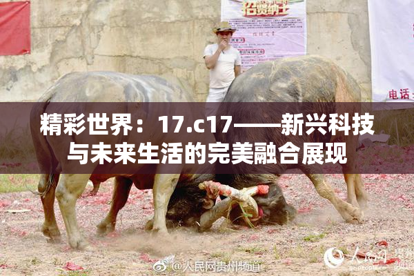 精彩世界：17.c17——新兴科技与未来生活的完美融合展现