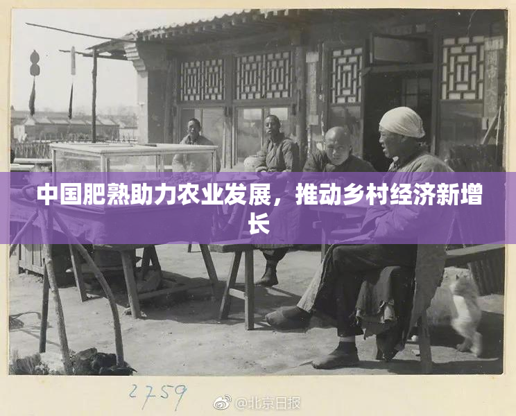 中国肥熟助力农业发展，推动乡村经济新增长