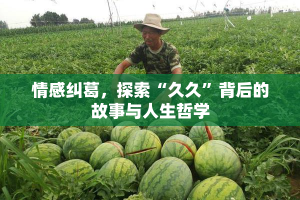 情感纠葛，探索“久久”背后的故事与人生哲学