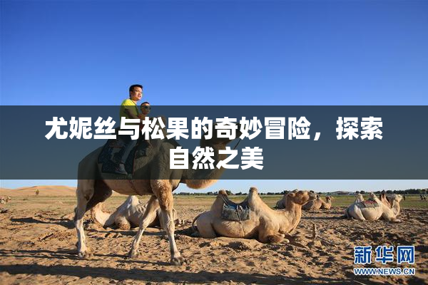 尤妮丝与松果的奇妙冒险，探索自然之美