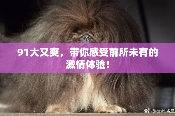 91大又爽，带你感受前所未有的激情体验！