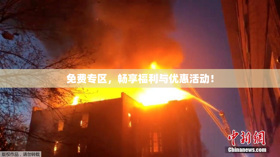 免费专区，畅享福利与优惠活动！