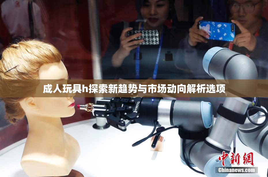 成人玩具h探索新趋势与市场动向解析选项