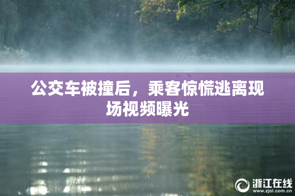 公交车被撞后，乘客惊慌逃离现场视频曝光