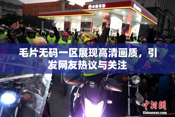 毛片无码一区展现高清画质，引发网友热议与关注