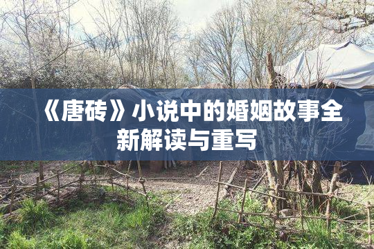 《唐砖》小说中的婚姻故事全新解读与重写