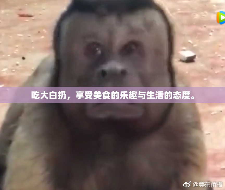 吃大白扔，享受美食的乐趣与生活的态度。