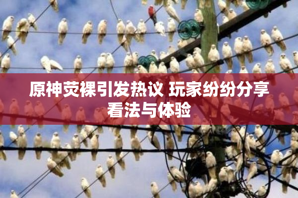 原神荧裸引发热议 玩家纷纷分享看法与体验