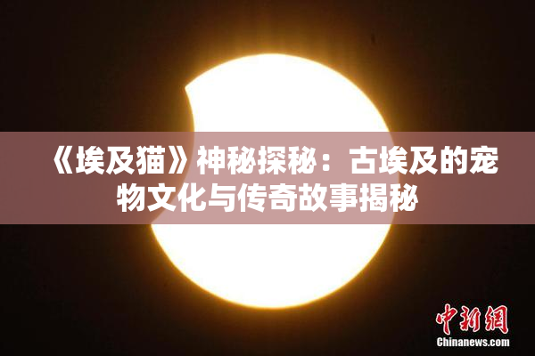 《埃及猫》神秘探秘：古埃及的宠物文化与传奇故事揭秘