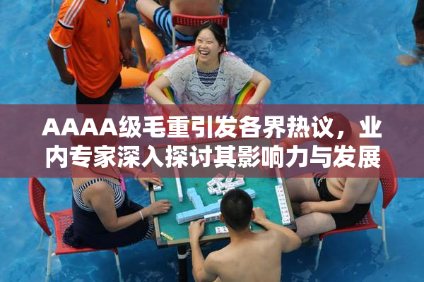 AAAA级毛重引发各界热议，业内专家深入探讨其影响力与发展前景