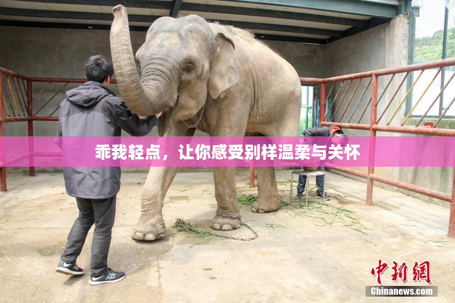 乖我轻点，让你感受别样温柔与关怀