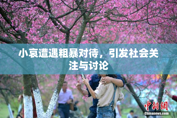 小哀遭遇粗暴对待，引发社会关注与讨论
