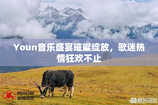 Youn音乐盛宴璀璨绽放，歌迷热情狂欢不止