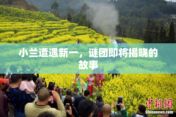 小兰遭遇新一，谜团即将揭晓的故事