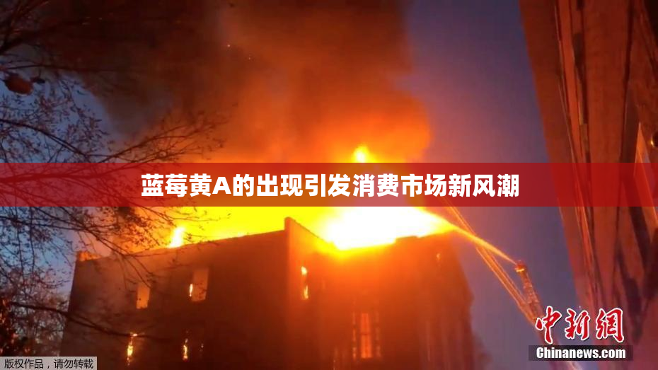 蓝莓黄A的出现引发消费市场新风潮