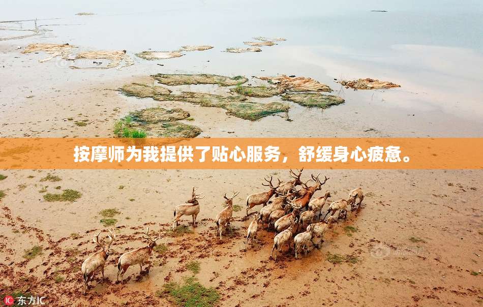 按摩师为我提供了贴心服务，舒缓身心疲惫。