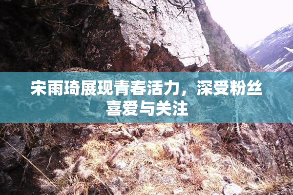 宋雨琦展现青春活力，深受粉丝喜爱与关注