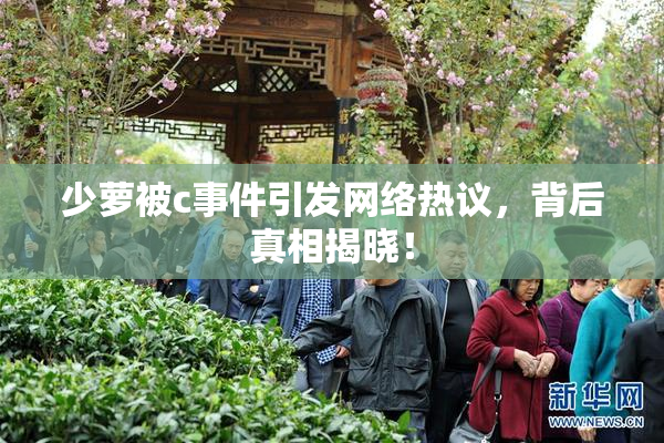 少萝被c事件引发网络热议，背后真相揭晓！