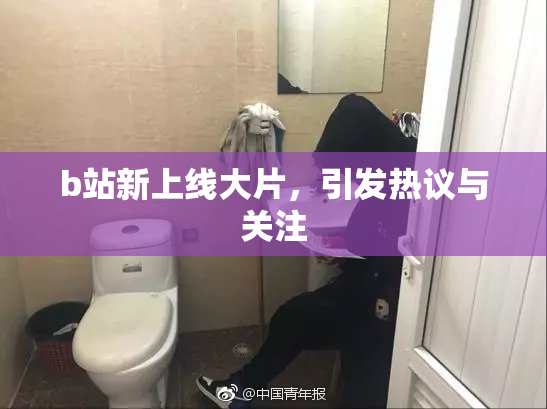b站新上线大片，引发热议与关注