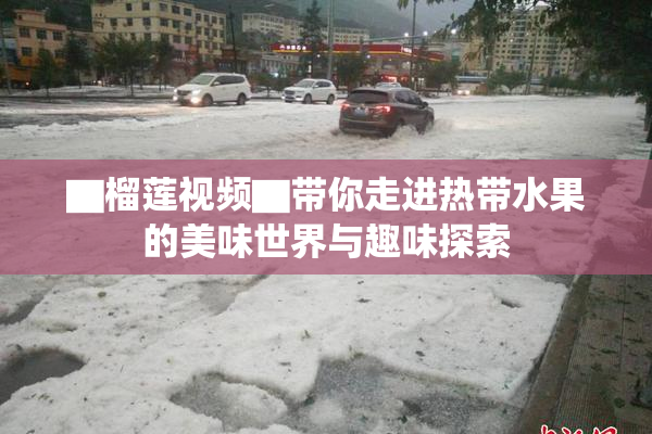 ▇榴莲视频▇带你走进热带水果的美味世界与趣味探索