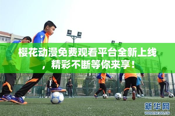 樱花动漫免费观看平台全新上线，精彩不断等你来享！