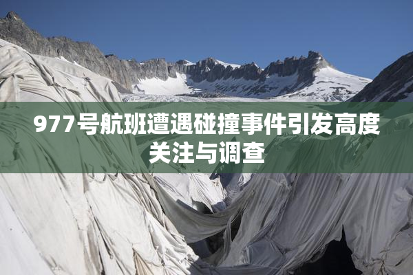 977号航班遭遇碰撞事件引发高度关注与调查