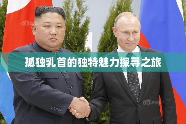 孤独乳首的独特魅力探寻之旅