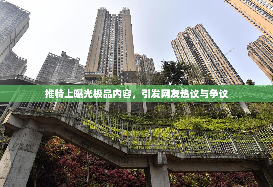 推特上曝光极品内容，引发网友热议与争议