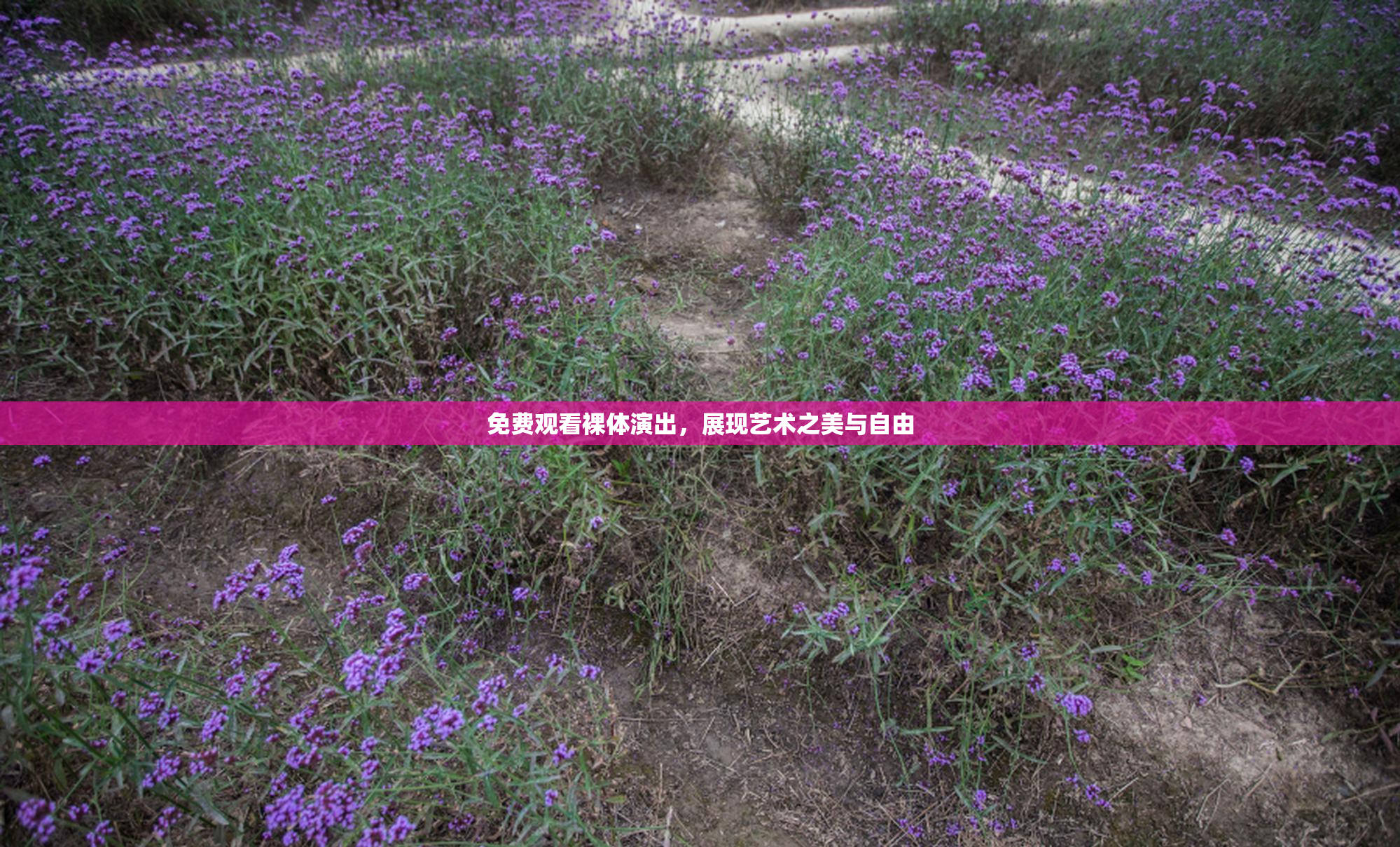 免费观看裸体演出，展现艺术之美与自由