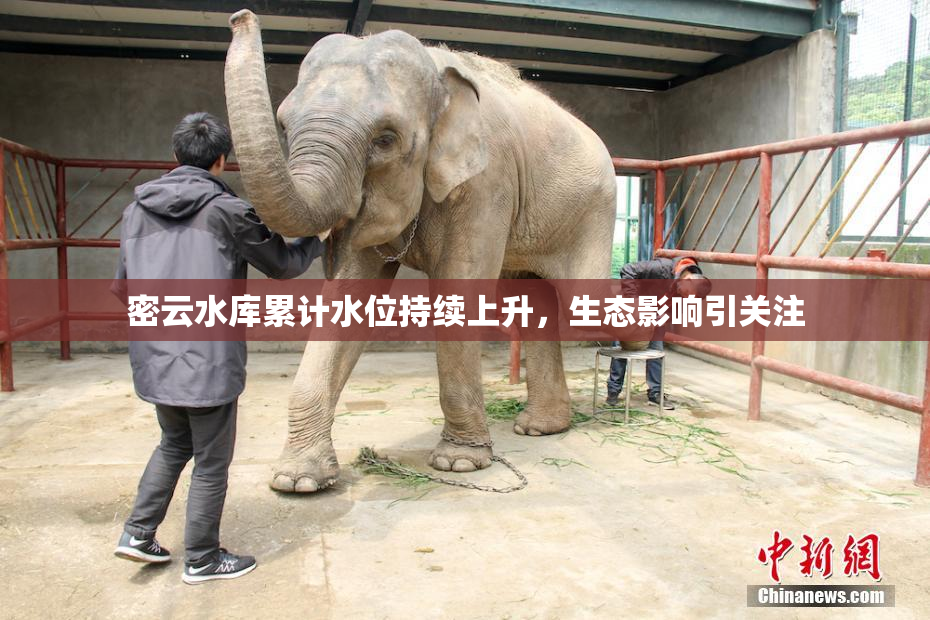密云水库累计水位持续上升，生态影响引关注
