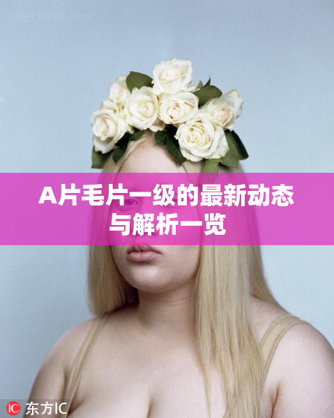 A片毛片一级的最新动态与解析一览