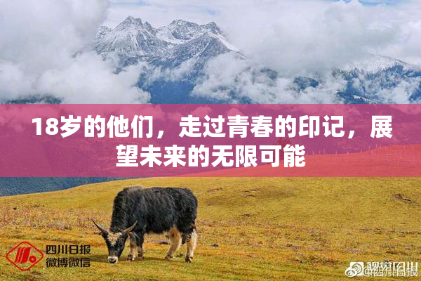 18岁的他们，走过青春的印记，展望未来的无限可能