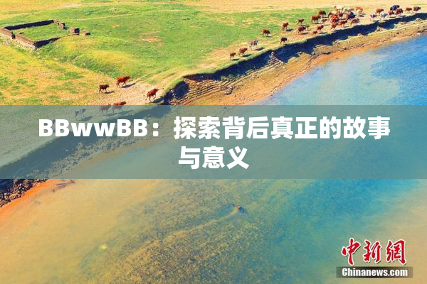 BBwwBB：探索背后真正的故事与意义