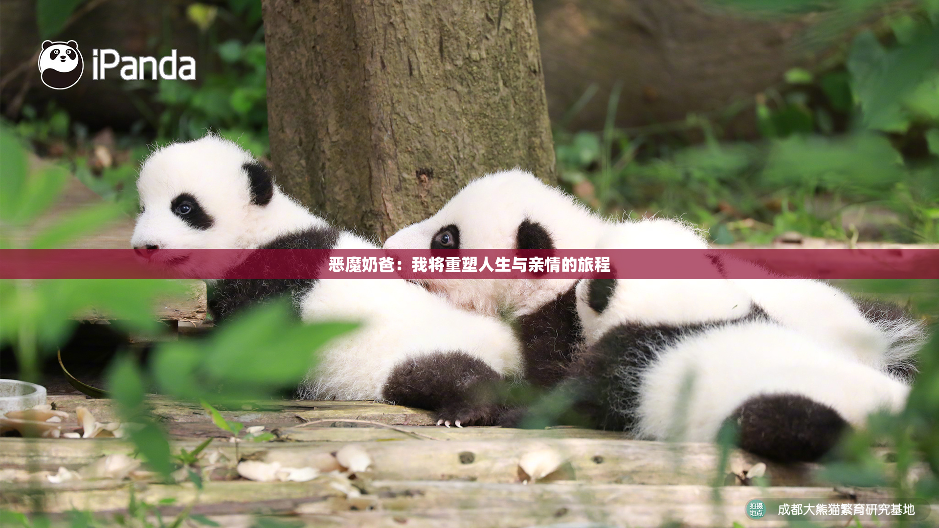 恶魔奶爸：我将重塑人生与亲情的旅程