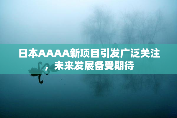日本AAAA新项目引发广泛关注，未来发展备受期待